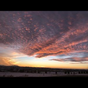 Meet your Posher, Brianna nickle